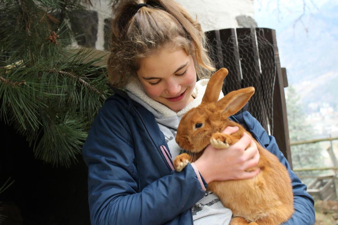 Moserhof Marlengo Zewnętrze zdjęcie